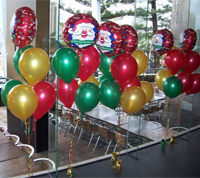 Balloon Modeller Mitchelstown