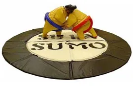 Sumo Wrestling Suits Mitchelstown